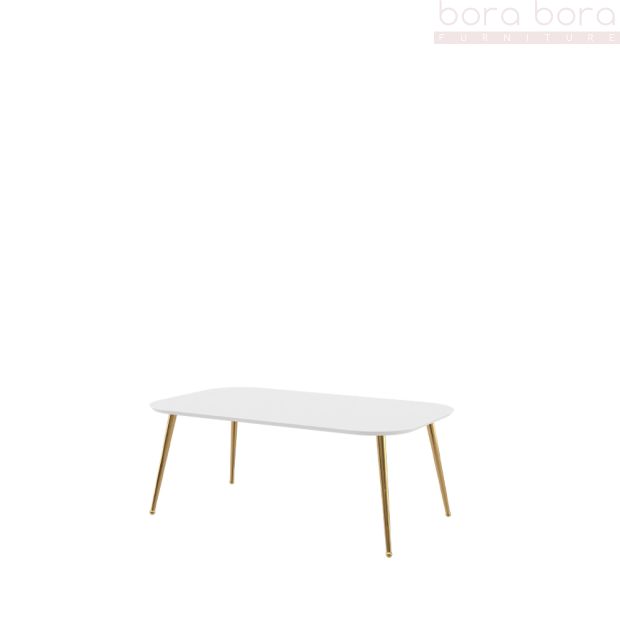 Coffee Table White Matt and Gold