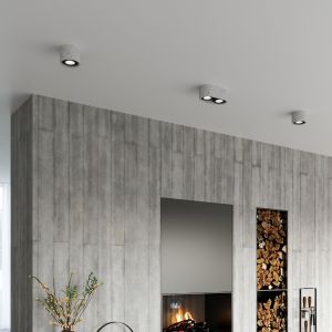 Таванна лампа BASIC 2 concrete