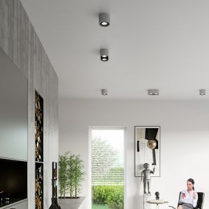 Таванна лампа BASIC 2 concrete
