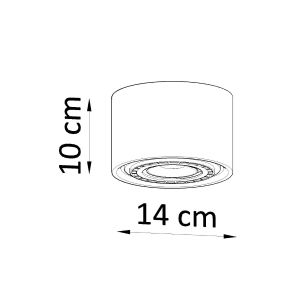 Plafond BASIC 1 естествено дърво
