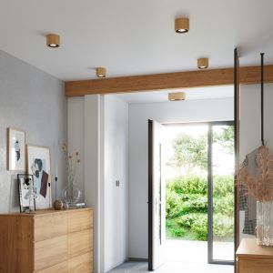 Plafond BASIC 1 естествено дърво