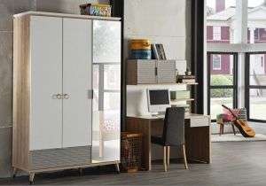 Wardrobe № 06091124