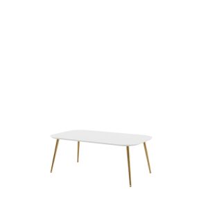 Coffee Table White Matt and Gold