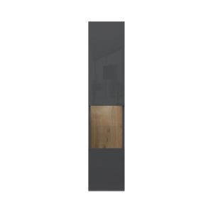 Contemporary Slim Wall Cabinet in Anthracite