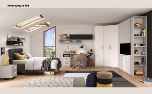 Shoe cabinet № 202 085